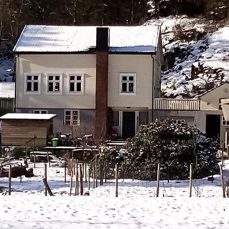 Stall Hav-Vik Farmstay Farsund Zewnętrze zdjęcie