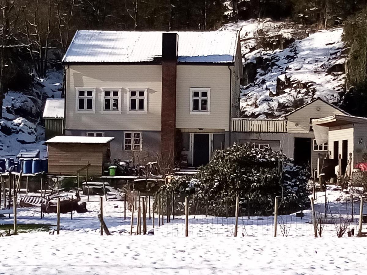 Stall Hav-Vik Farmstay Farsund Zewnętrze zdjęcie